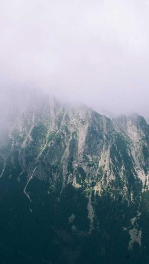 黑料正能量网址截图4