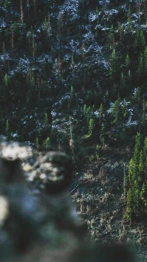 吃瓜黑料在线截图3