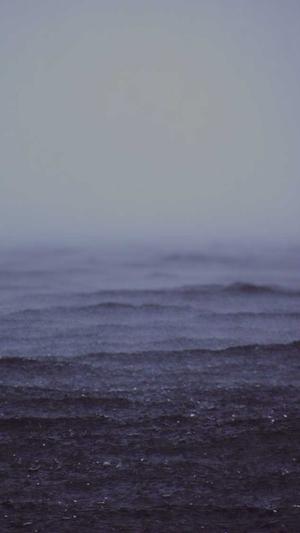 早上吃哈密瓜好吗截图3