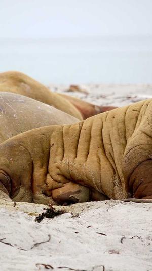 黑料正能量导航入口截图3