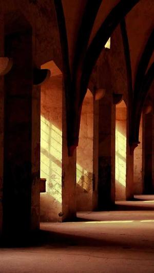 吃瓜视频app官网截图2