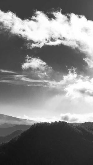 江疏影黑料截图3