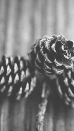 51吃瓜网爆黑料网截图3