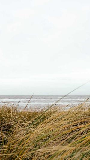 天涯爆料娱乐圈黑料截图5