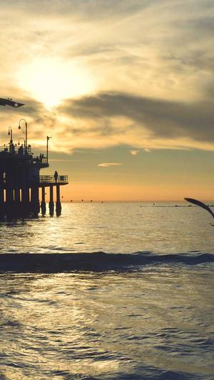 王子异黑料截图4