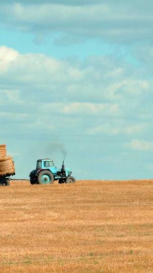 b站小宁子黑料截图2