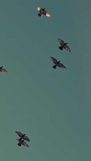 马思唯黑料截图2