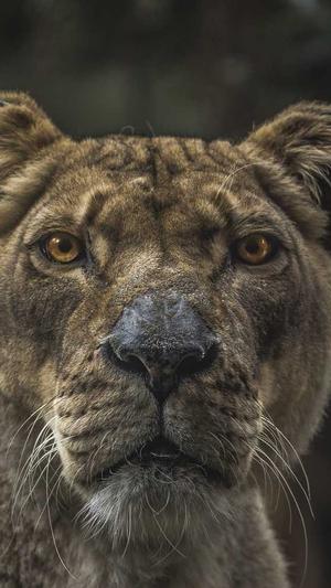 黑料社网站截图2