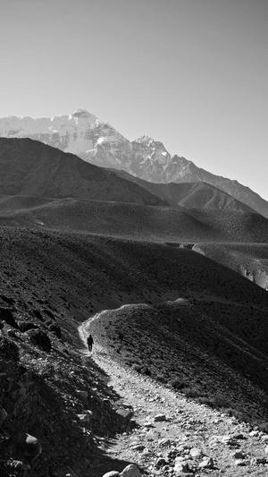 吃瓜黑料在线播放截图1