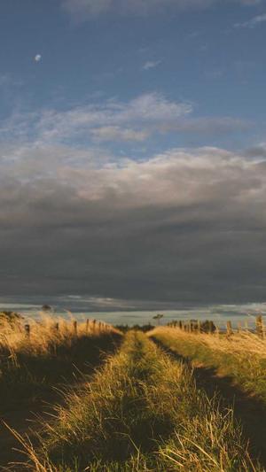 吃瓜群众在线截图1