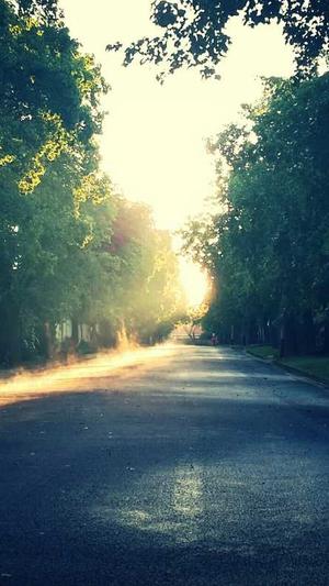 聂小雨吃瓜事件截图1