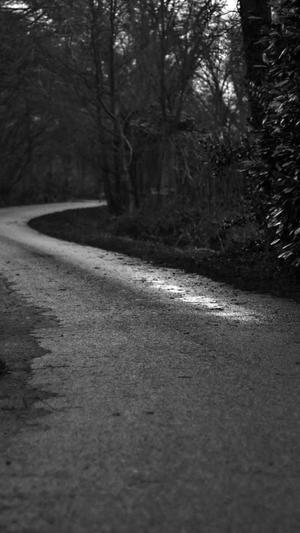 黑料不打料最新网站截图2