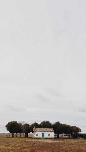 zztt10黑料不打烊网址截图5