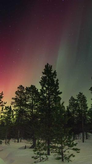 吃瓜群众岱岱截图2