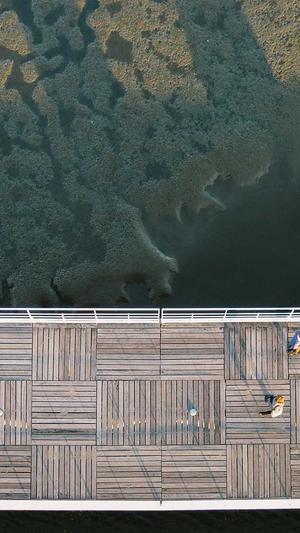 晚上吃哈密瓜会胖吗截图2