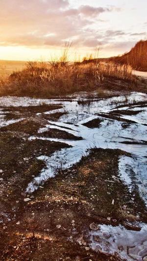 一只小团团黑料截图4