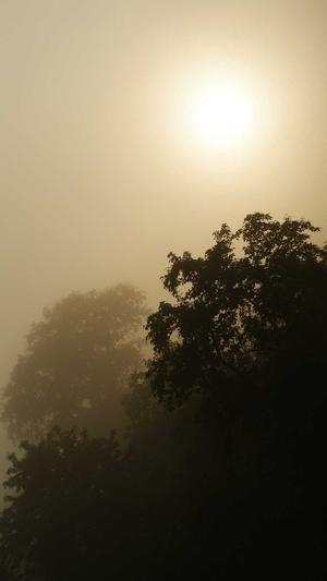 花岗岩芝麻黑料哪里有截图1