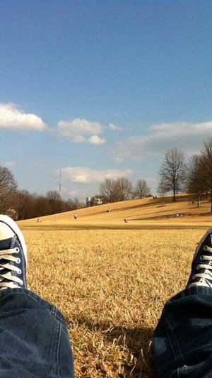 婴儿可以吃哈密瓜吗截图4