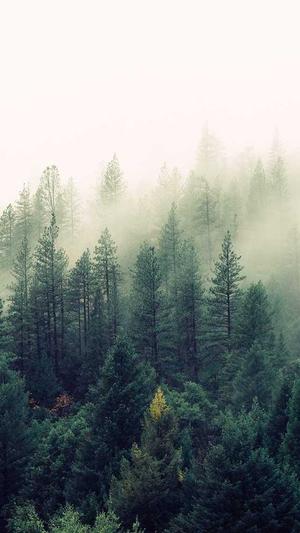 黑料正能量网址截图3