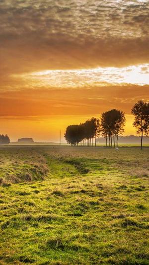 呆妹黑料视频截图3