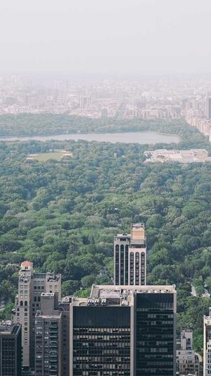 哈密瓜怎样吃截图3