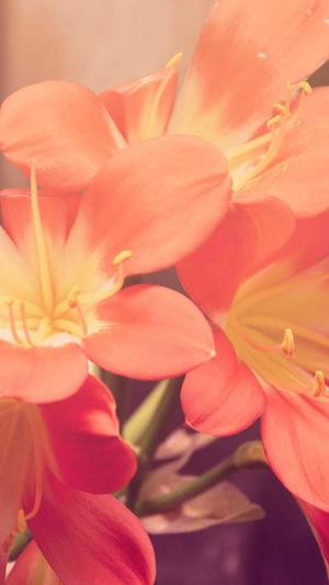 王子异黑料截图3