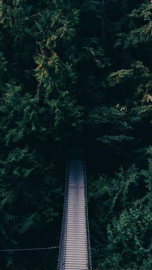 黑料正能量永久地址截图1