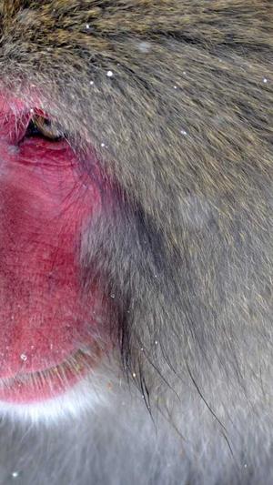 51黑料吃瓜网在线截图2