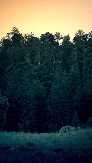 51吃瓜网站朝阳热心截图2