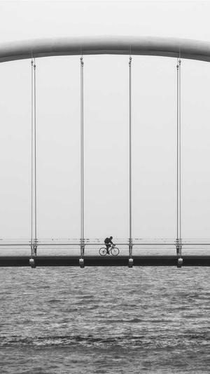 火锅炖兔仔黑料网截图2