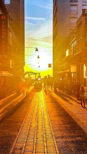 吊瓜不能和什么一起吃截图3