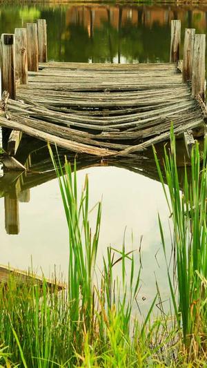 黑料不打烊入口知乎截图5