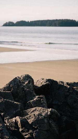 哈密瓜的籽可以吃吗截图2