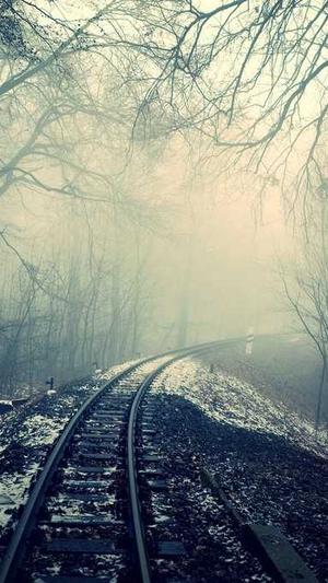 晚上吃哈密瓜截图1