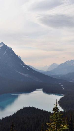 孟美岐黑料截图1