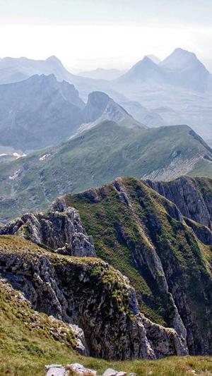 孕妇吃哈密瓜对胎儿好吗截图1