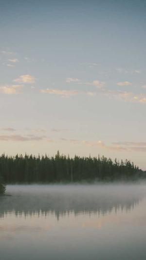 黑料吃料网截图2