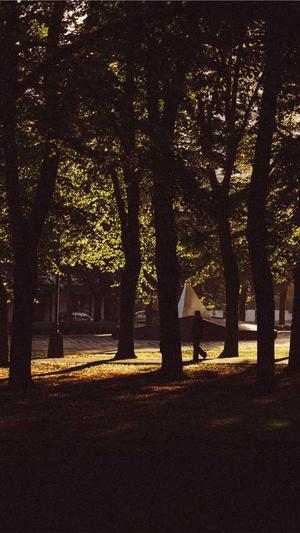 佛手瓜要削皮吃吗截图2