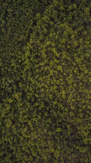 王子异黑料截图5