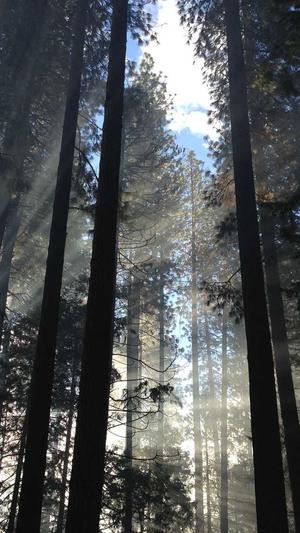 51吃瓜网爆黑料网截图2