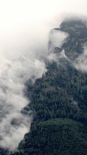 刺角瓜怎么吃截图3